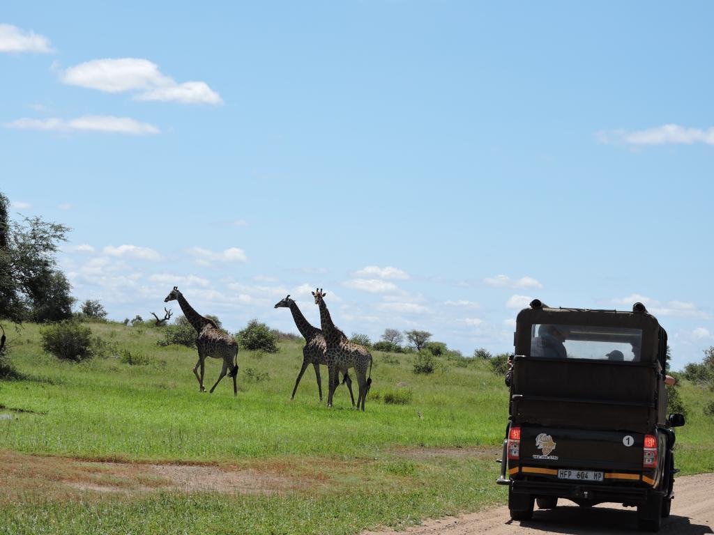 African Rock Lodge Hoedspruit Zewnętrze zdjęcie