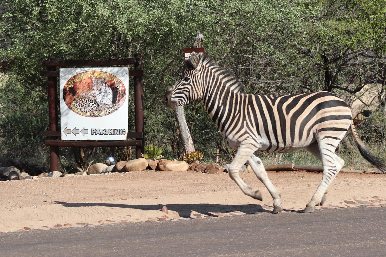 African Rock Lodge Hoedspruit Zewnętrze zdjęcie
